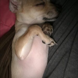 Meet your Posher, Matthew